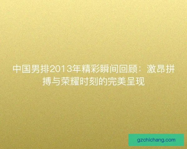 中国男排2013年精彩瞬间回顾：激昂拼搏与荣耀时刻的完美呈现